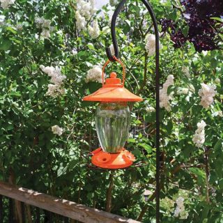 Oriole Lantern Style Glass Feeder Thumbnail